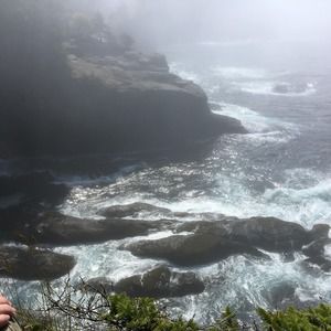 Meet your Posher, Jinni